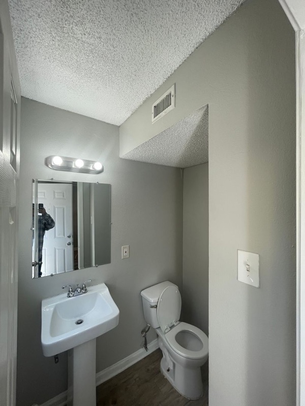 A photograph of Contessa, from our leasing system.