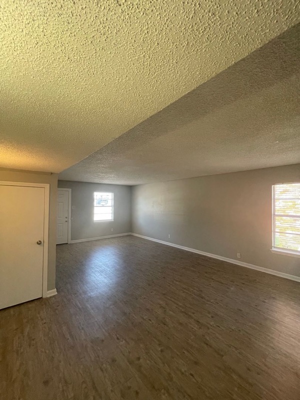 A photograph of Contessa, from our leasing system.