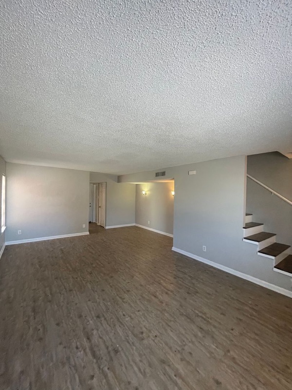 A photograph of Contessa, from our leasing system.